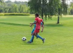 年中央一号,文件解读,热议乡村振,金宝博188bet体育,金宝博188bet体育官网,金宝博188bet体育官方,金宝博188bet体育下载