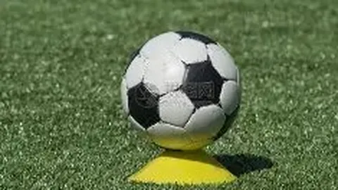 金宝博199bet体育 资讯 131804 47t